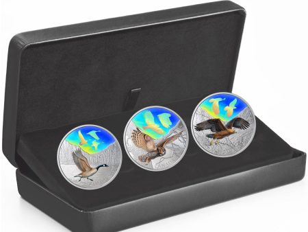 RDC 2019 Canada $30 Majestic Birds in Motion Silver 3-coin set (No Tax) scuffed box Online now