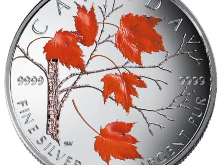 RDC 2004 Canada $5 Coloured Silver Maple Leaf (No Tax) impaired Hot on Sale