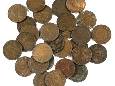 Lot of 1916 Canada Large Cents, Average Condition, 28Pcs For Cheap