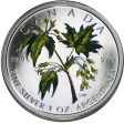 RDC 2003 Canada $5 1oz. Coloured Silver Maple Leaf (No Tax) impaired Cheap