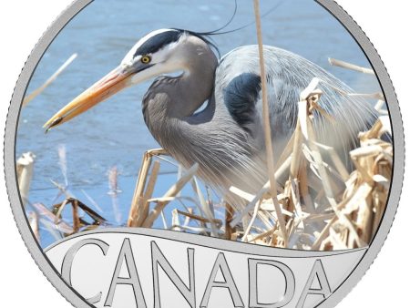 RDC 2017 $10 Celebrating Canada s 150th - Great Blue Heron Silver (No Tax) Writing Online Sale