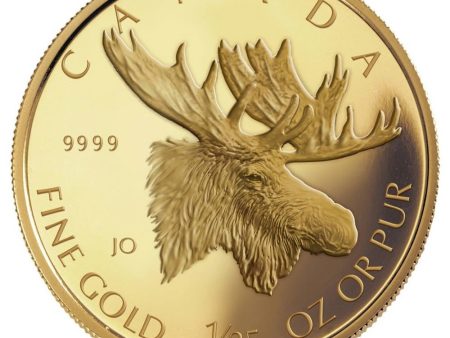 RDC 2004 Canada 50-cent Moose 1 25oz. Pure Gold (No Tax) Impaired Online