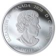 RDC 2020 Canada $25 Toronto Raptors 25th Season Fine Silver (No Tax) scratched capsule Sale