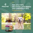 NaturVet Glucosamine DS Plus™ Tabs Supply