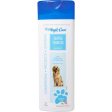 MAGIC COAT GENTLE TEARLESS SHAMPOO For Cheap