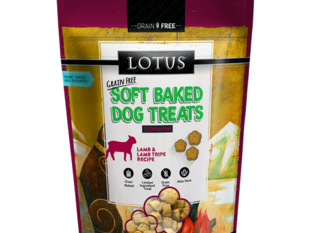 Lotus Turkey Recipe Soft Baked Dog Treats For Cheap